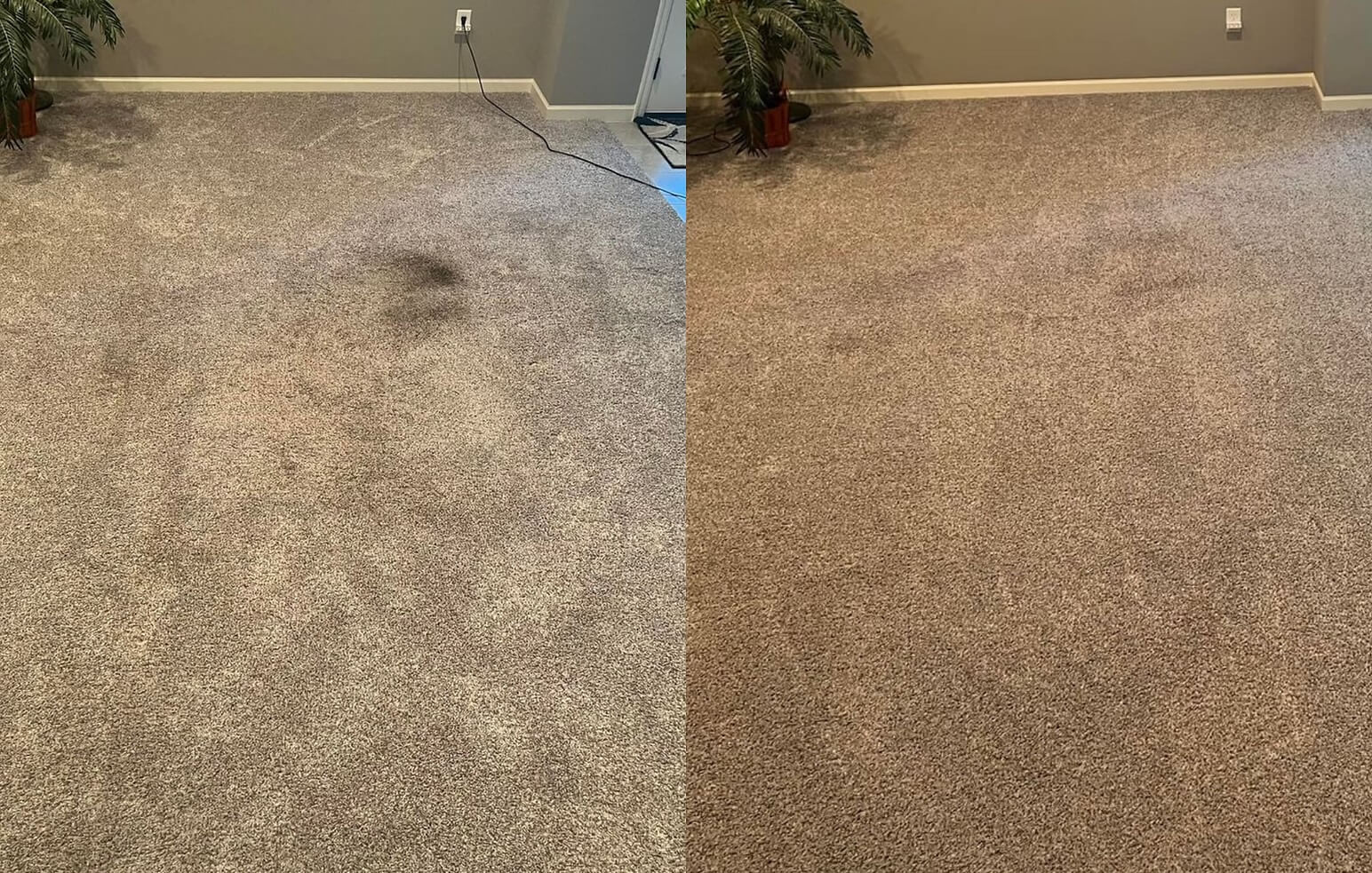 #1 Carpet Cleaning in Kansas City, MO | Carpet Boss LLC